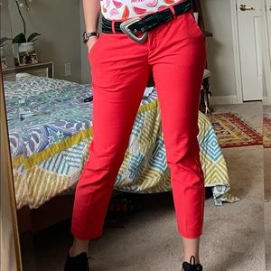 Express columnist cropped pants